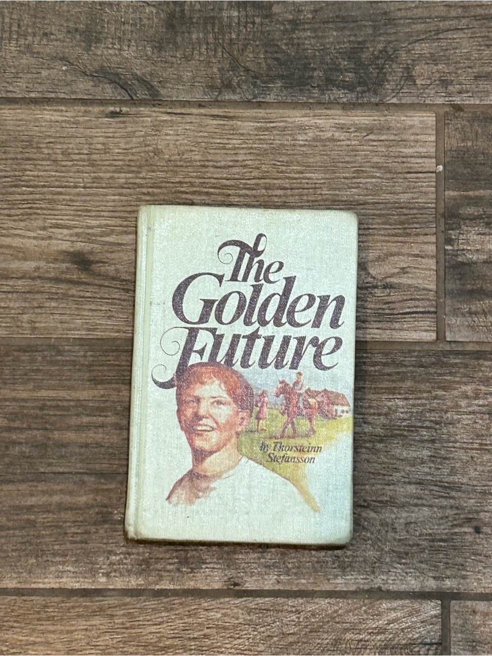 "The Golden Future" written by Thorsteinn Stefanss Hardback 1974 edition